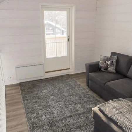 Levin Ahmahovi 2b By Interhome * Levi